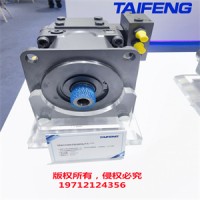 厂家直销泰丰TFA10VSO31系列柱塞泵